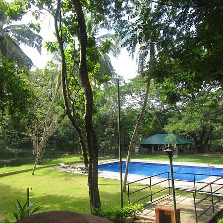 Hotel Dambulu Oya Family Park Dambulla Esterno foto