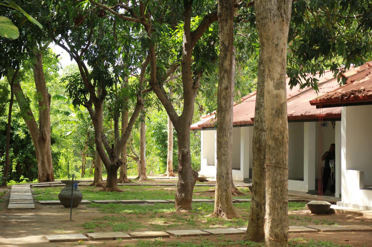 Hotel Dambulu Oya Family Park Dambulla Esterno foto