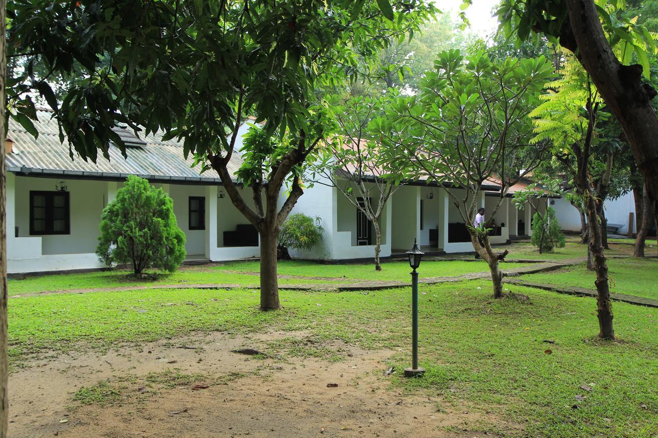 Hotel Dambulu Oya Family Park Dambulla Esterno foto