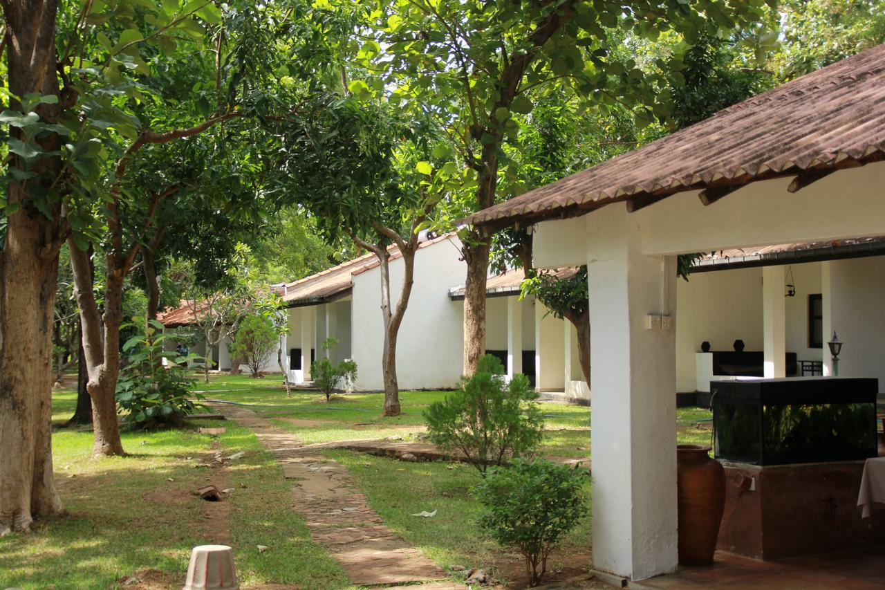 Hotel Dambulu Oya Family Park Dambulla Esterno foto