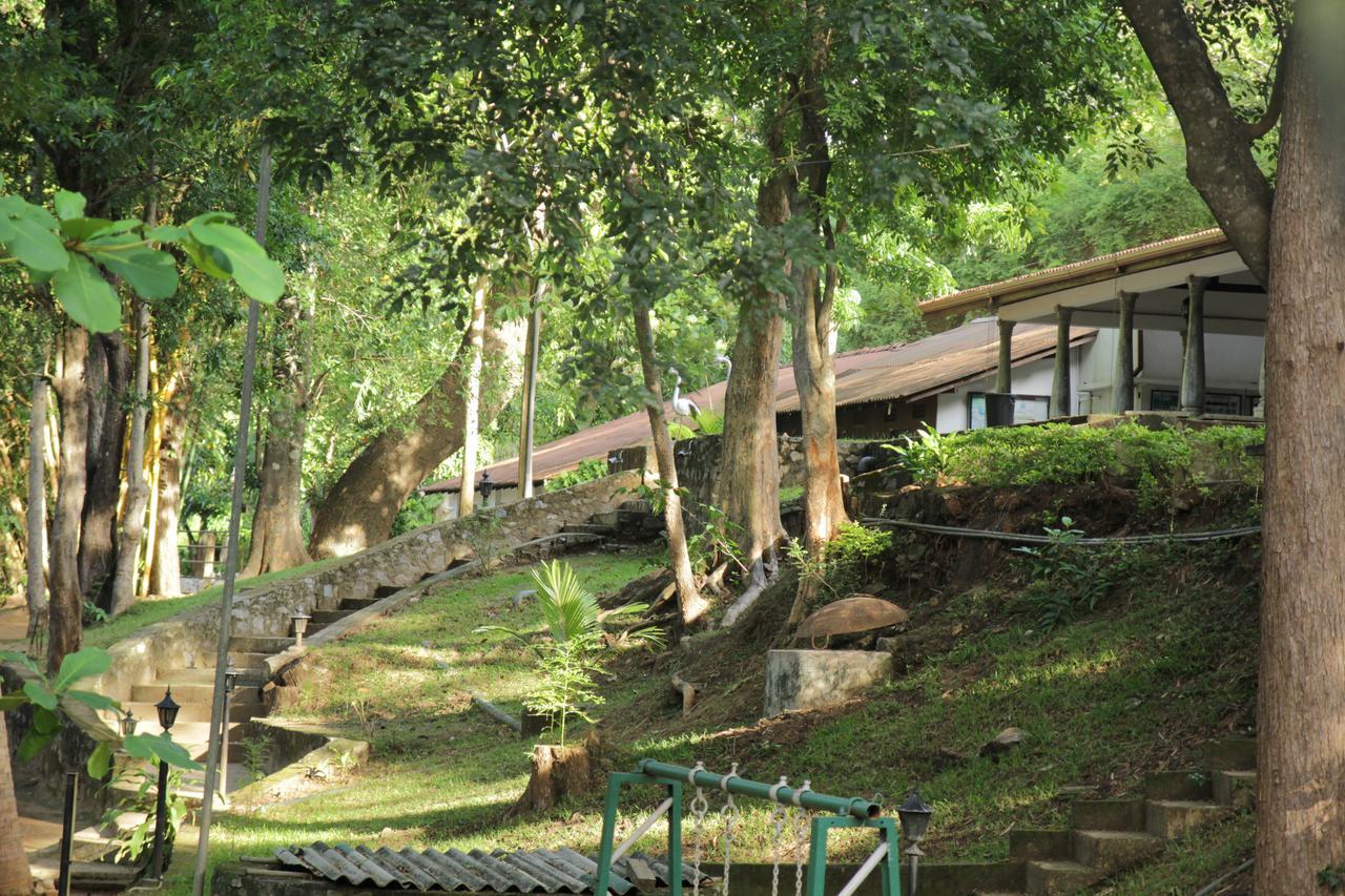 Hotel Dambulu Oya Family Park Dambulla Esterno foto