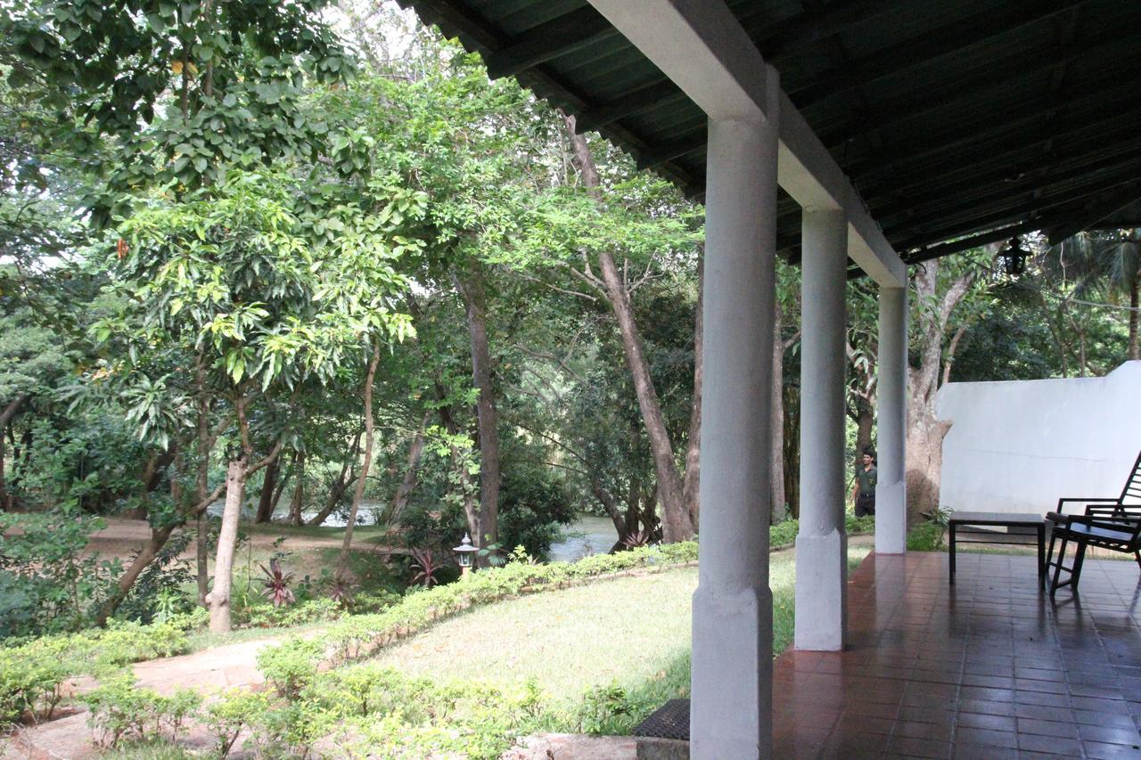 Hotel Dambulu Oya Family Park Dambulla Esterno foto