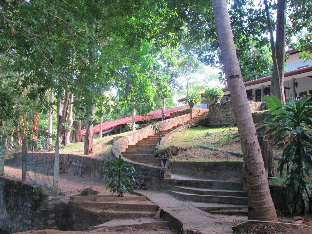 Hotel Dambulu Oya Family Park Dambulla Esterno foto