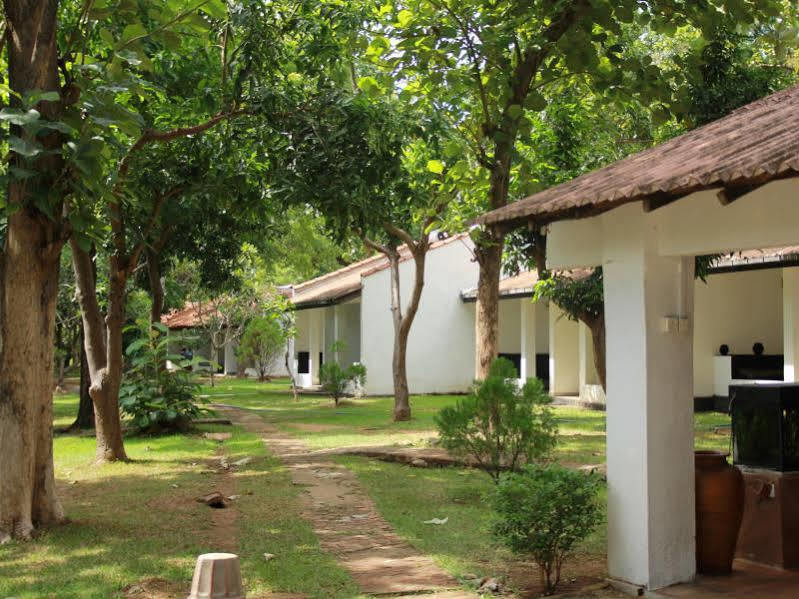 Hotel Dambulu Oya Family Park Dambulla Esterno foto