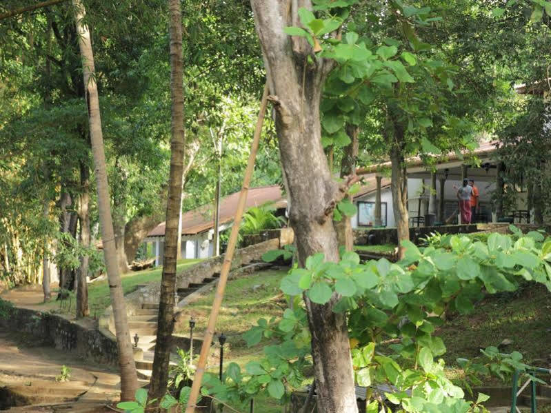 Hotel Dambulu Oya Family Park Dambulla Esterno foto