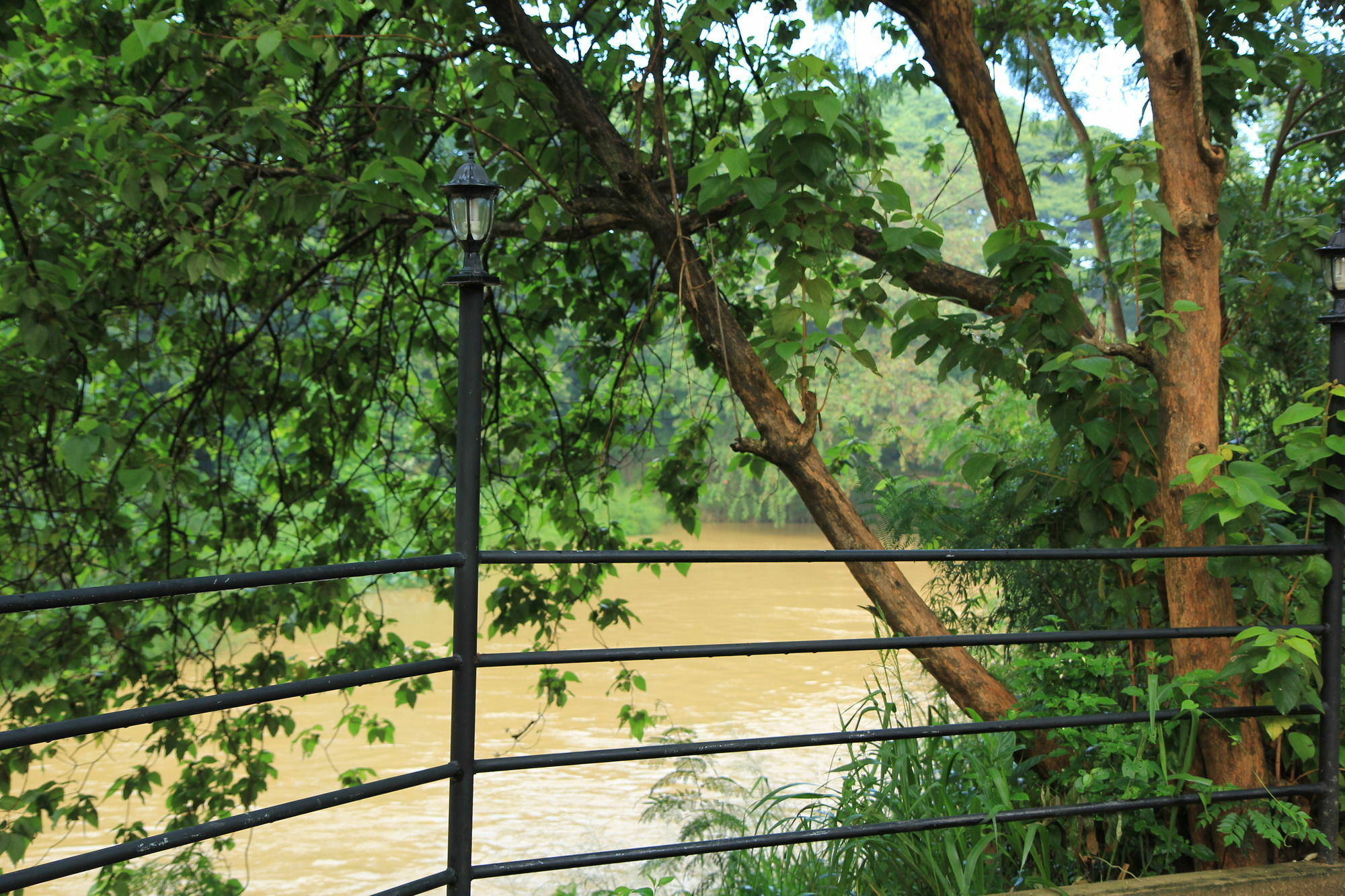 Hotel Dambulu Oya Family Park Dambulla Esterno foto
