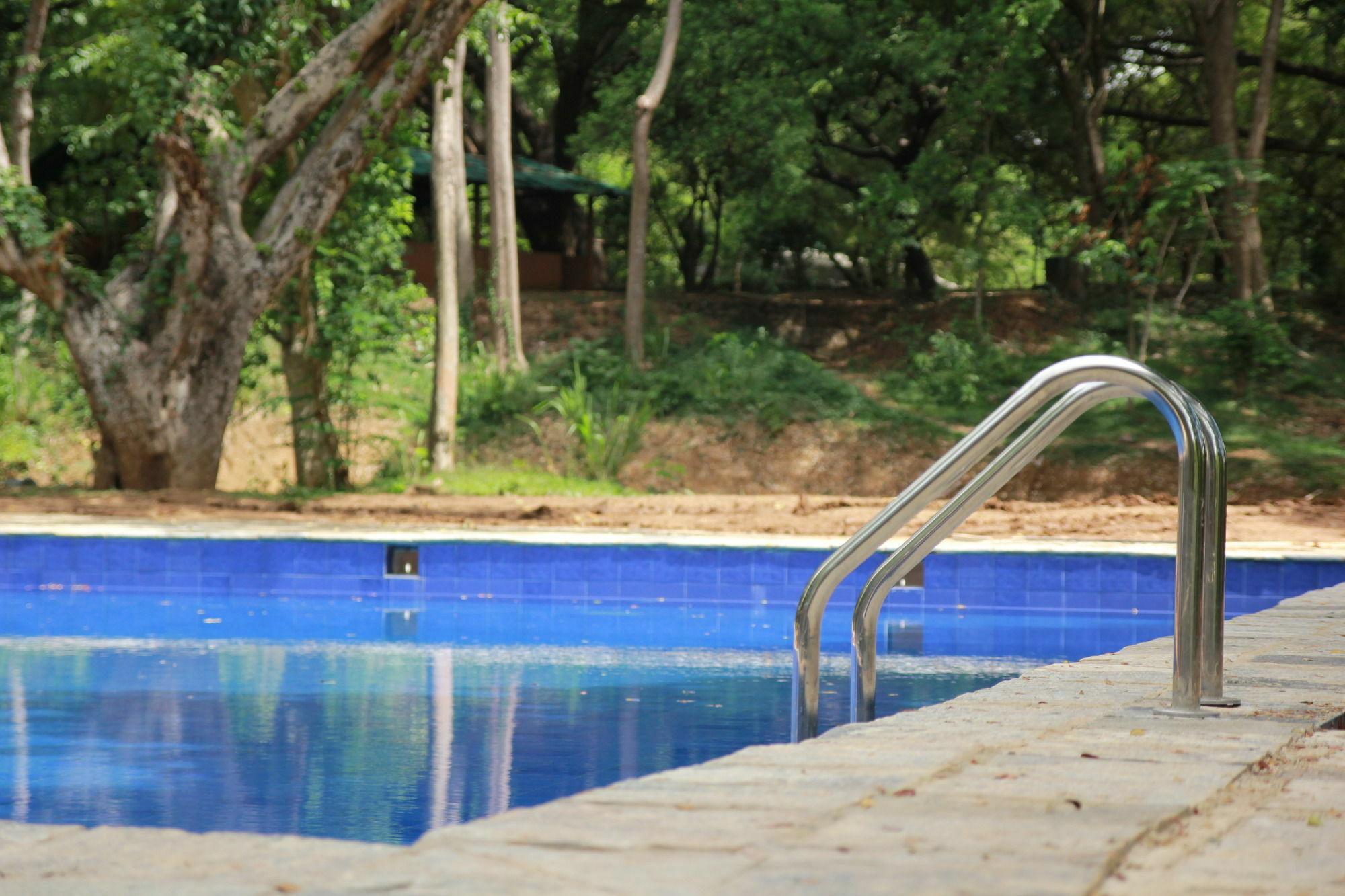 Hotel Dambulu Oya Family Park Dambulla Esterno foto
