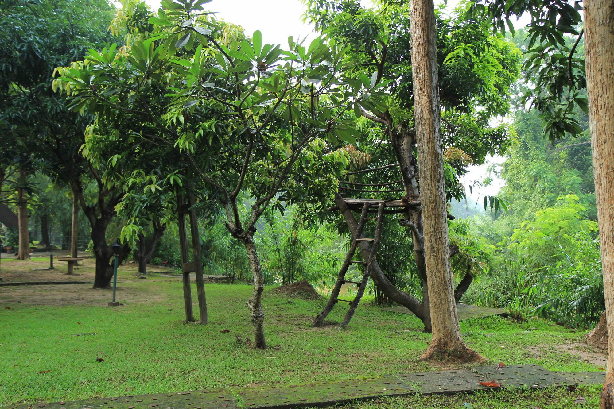 Hotel Dambulu Oya Family Park Dambulla Esterno foto
